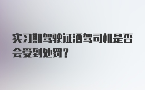 实习期驾驶证酒驾司机是否会受到处罚？