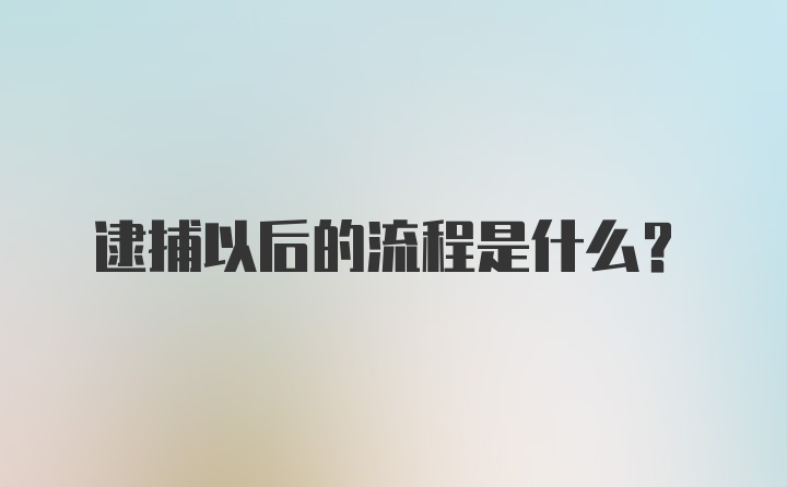 逮捕以后的流程是什么？