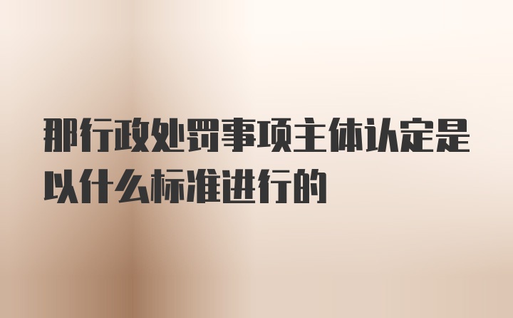 那行政处罚事项主体认定是以什么标准进行的