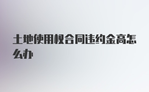 土地使用权合同违约金高怎么办