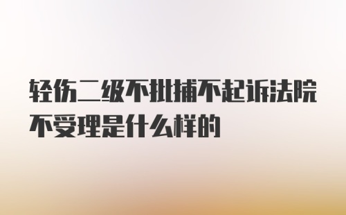 轻伤二级不批捕不起诉法院不受理是什么样的