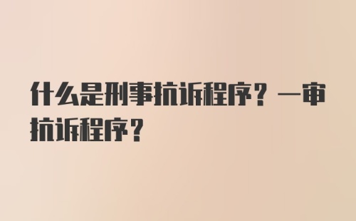 什么是刑事抗诉程序？一审抗诉程序？