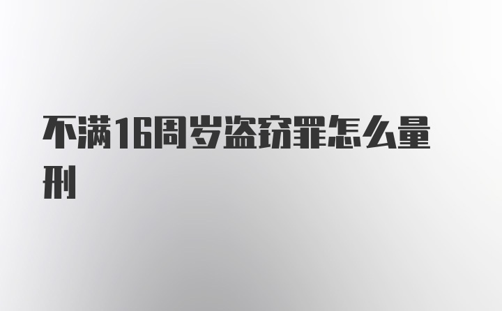 不满16周岁盗窃罪怎么量刑