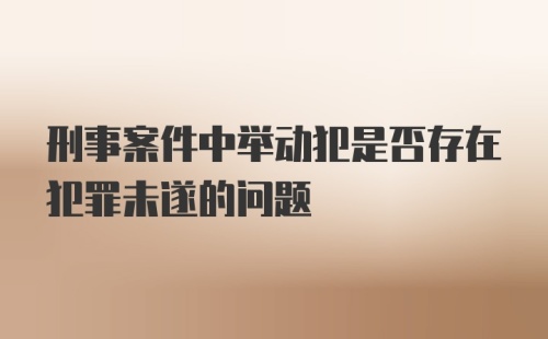 刑事案件中举动犯是否存在犯罪未遂的问题