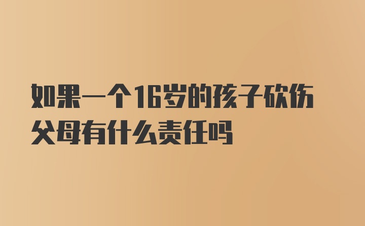 如果一个16岁的孩子砍伤父母有什么责任吗