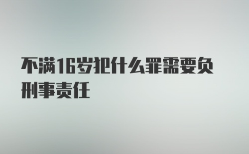 不满16岁犯什么罪需要负刑事责任