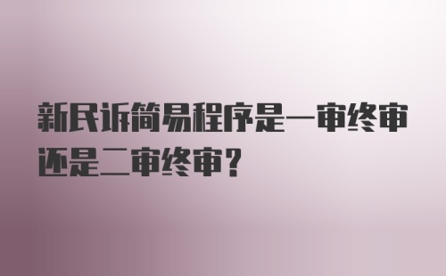 新民诉简易程序是一审终审还是二审终审？