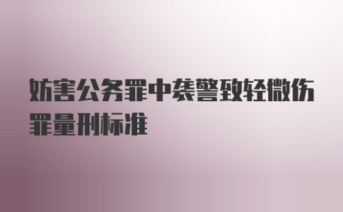 妨害公务罪中袭警致轻微伤罪量刑标准