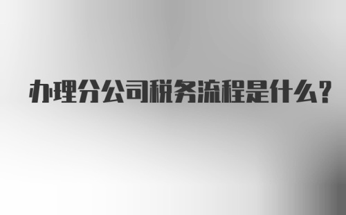 办理分公司税务流程是什么？