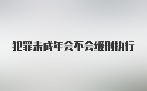 犯罪未成年会不会缓刑执行