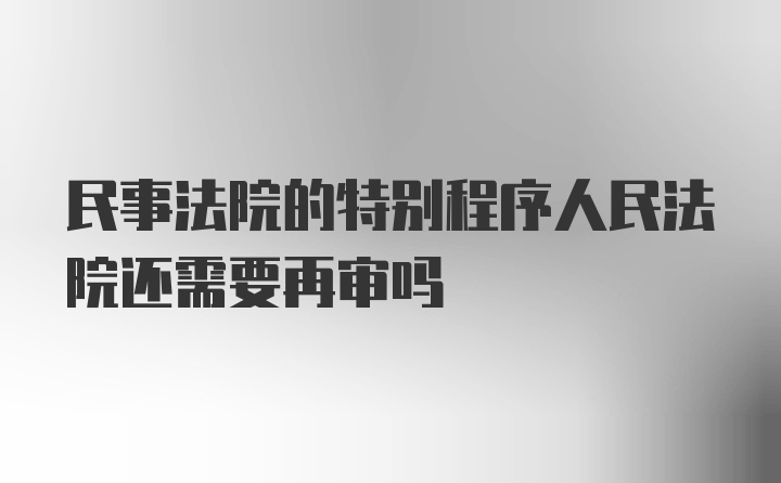 民事法院的特别程序人民法院还需要再审吗