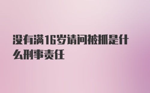 没有满16岁请问被抓是什么刑事责任