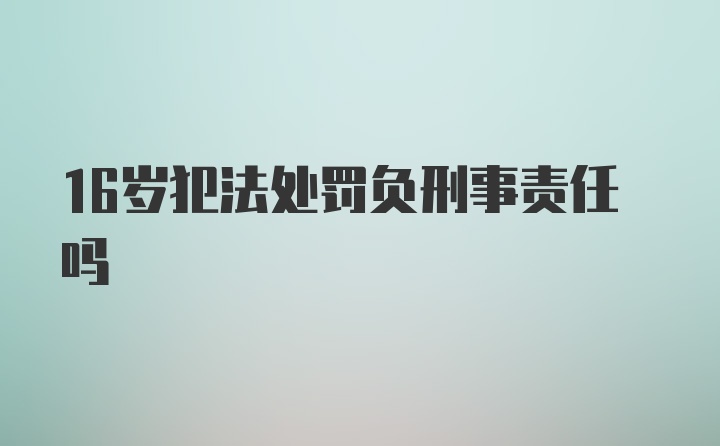 16岁犯法处罚负刑事责任吗