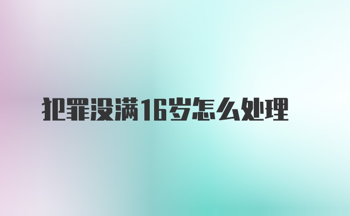 犯罪没满16岁怎么处理