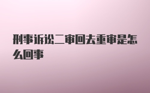 刑事诉讼二审回去重审是怎么回事