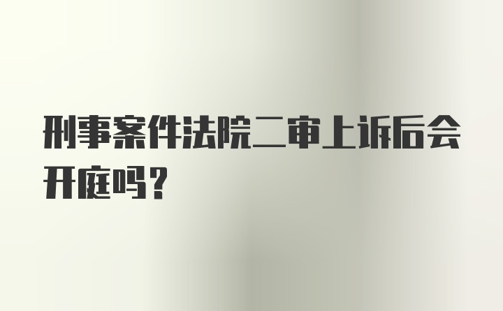 刑事案件法院二审上诉后会开庭吗？