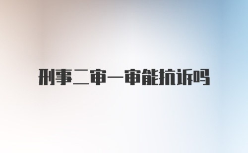 刑事二审一审能抗诉吗