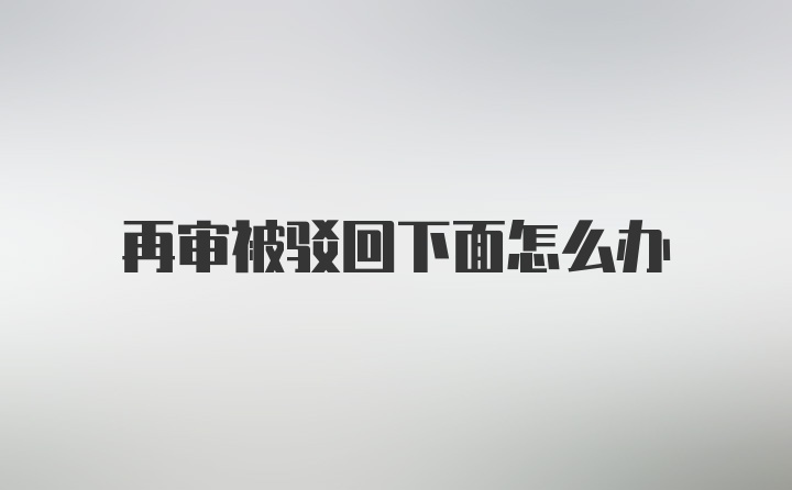 再审被驳回下面怎么办