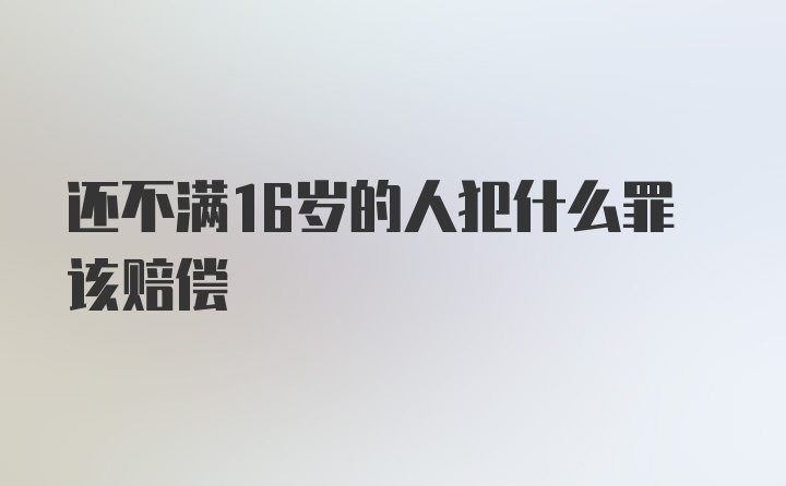 还不满16岁的人犯什么罪该赔偿