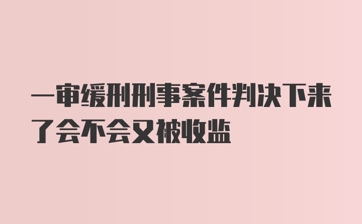 一审缓刑刑事案件判决下来了会不会又被收监