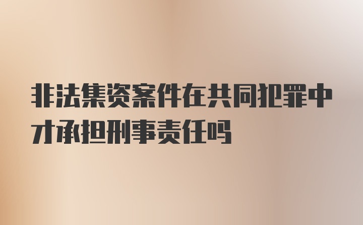 非法集资案件在共同犯罪中才承担刑事责任吗