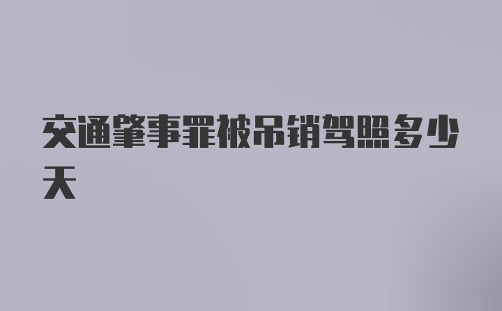 交通肇事罪被吊销驾照多少天