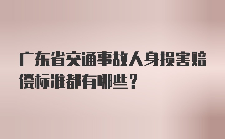 广东省交通事故人身损害赔偿标准都有哪些？