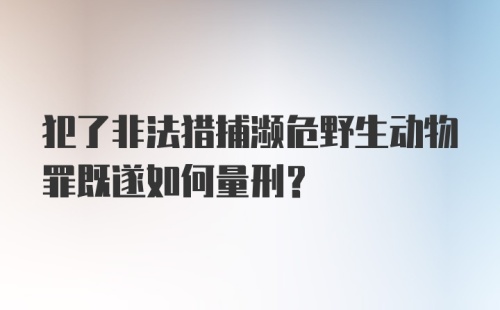 犯了非法猎捕濒危野生动物罪既遂如何量刑？