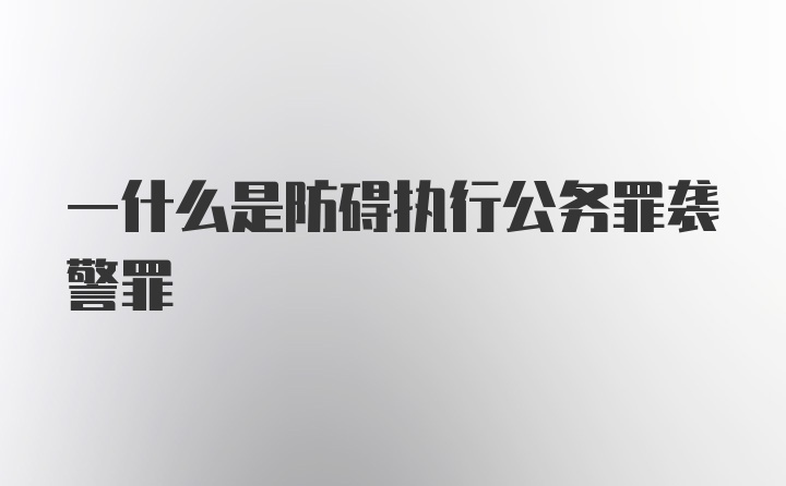 一什么是防碍执行公务罪袭警罪