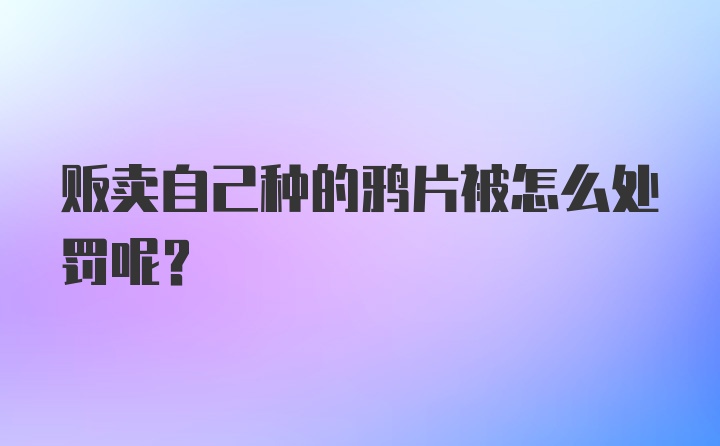 贩卖自己种的鸦片被怎么处罚呢？