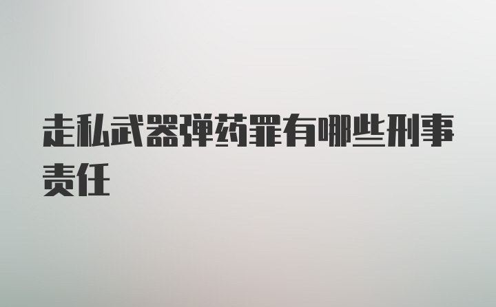 走私武器弹药罪有哪些刑事责任