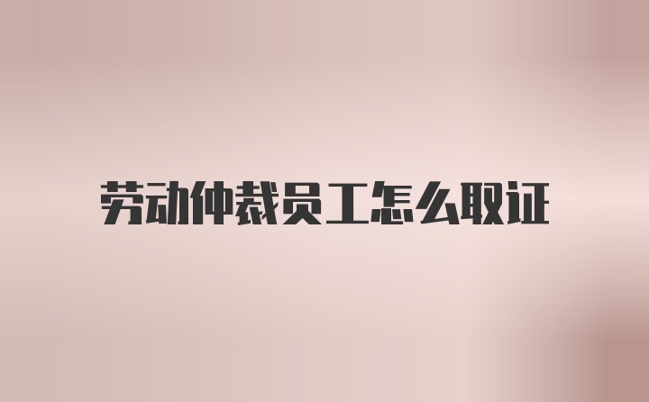 劳动仲裁员工怎么取证