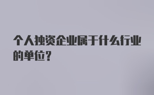 个人独资企业属于什么行业的单位?