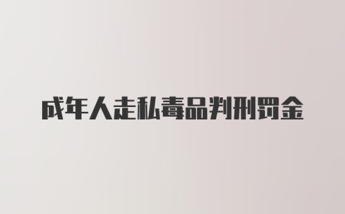 成年人走私毒品判刑罚金