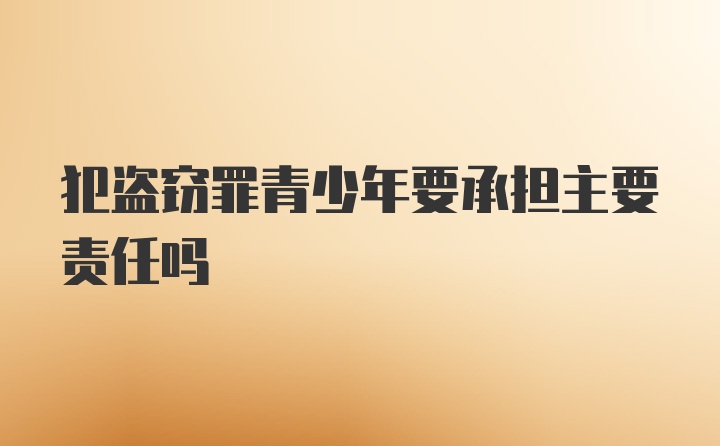 犯盗窃罪青少年要承担主要责任吗