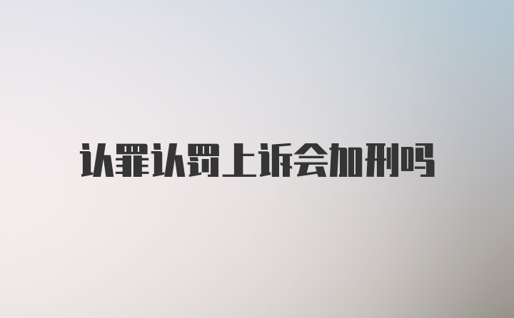 认罪认罚上诉会加刑吗