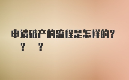 申请破产的流程是怎样的? ? ?