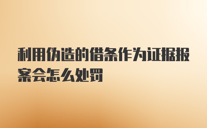 利用伪造的借条作为证据报案会怎么处罚