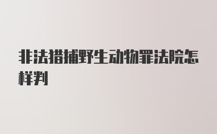 非法猎捕野生动物罪法院怎样判