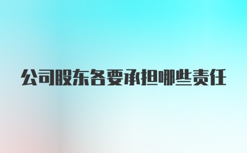 公司股东各要承担哪些责任