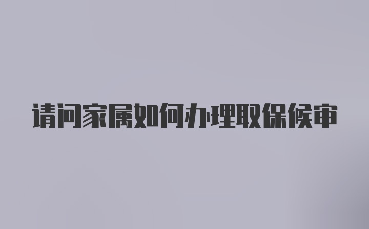 请问家属如何办理取保候审