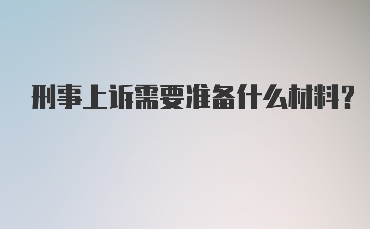 刑事上诉需要准备什么材料？