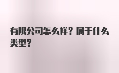 有限公司怎么样？属于什么类型？