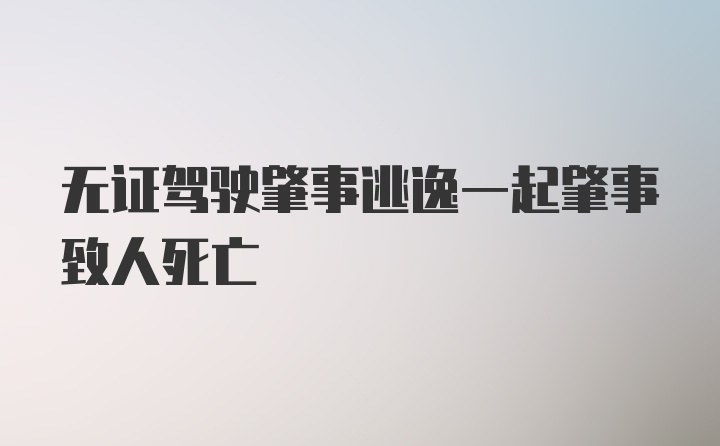 无证驾驶肇事逃逸一起肇事致人死亡