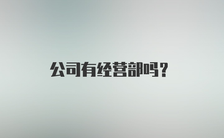 公司有经营部吗？