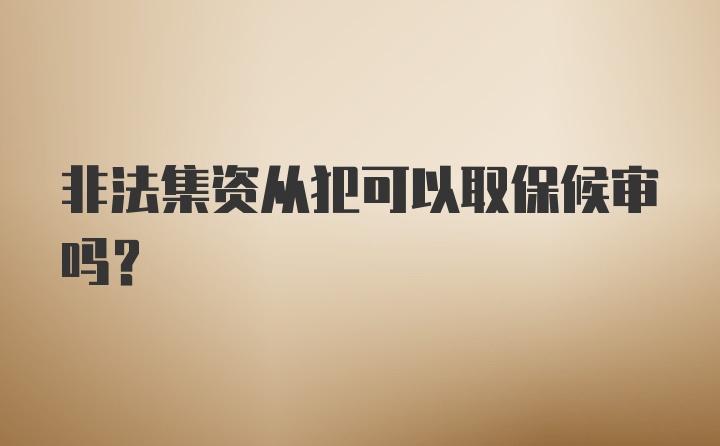 非法集资从犯可以取保候审吗？