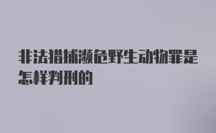 非法猎捕濒危野生动物罪是怎样判刑的