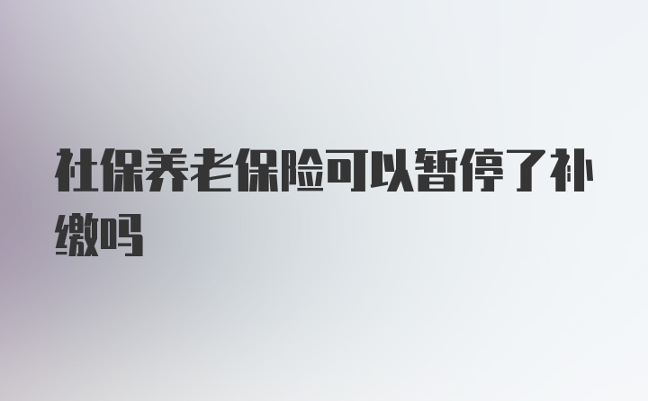 社保养老保险可以暂停了补缴吗