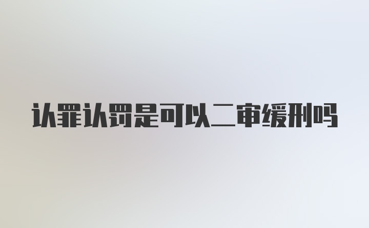 认罪认罚是可以二审缓刑吗