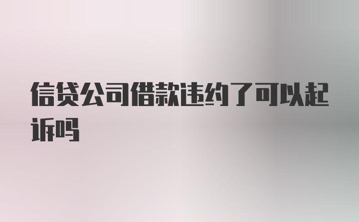 信贷公司借款违约了可以起诉吗